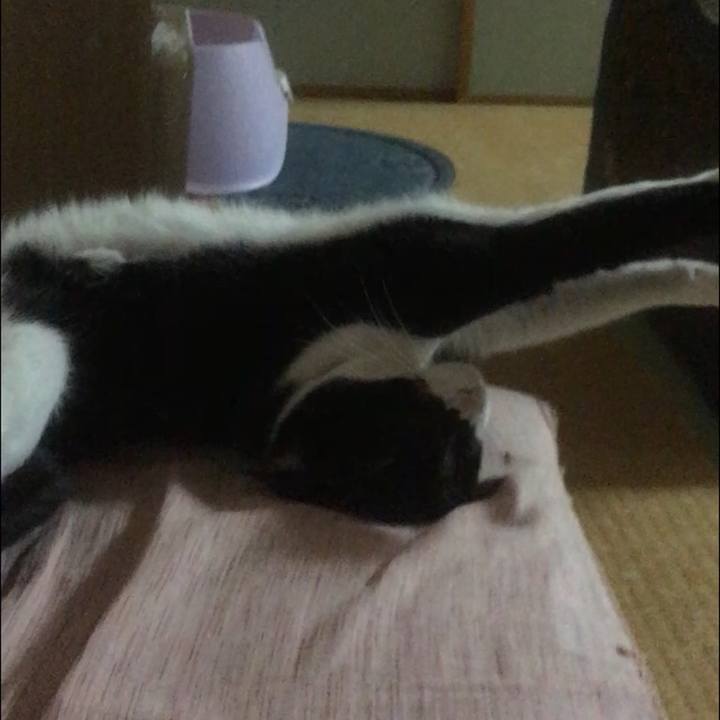 68ec2878 4f9e 43a0 afa6 8aa41a3377f0 1587918622162