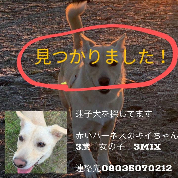 68ec7042 38da 4a6b 92ea 0e74ae8e6366 1613134891497