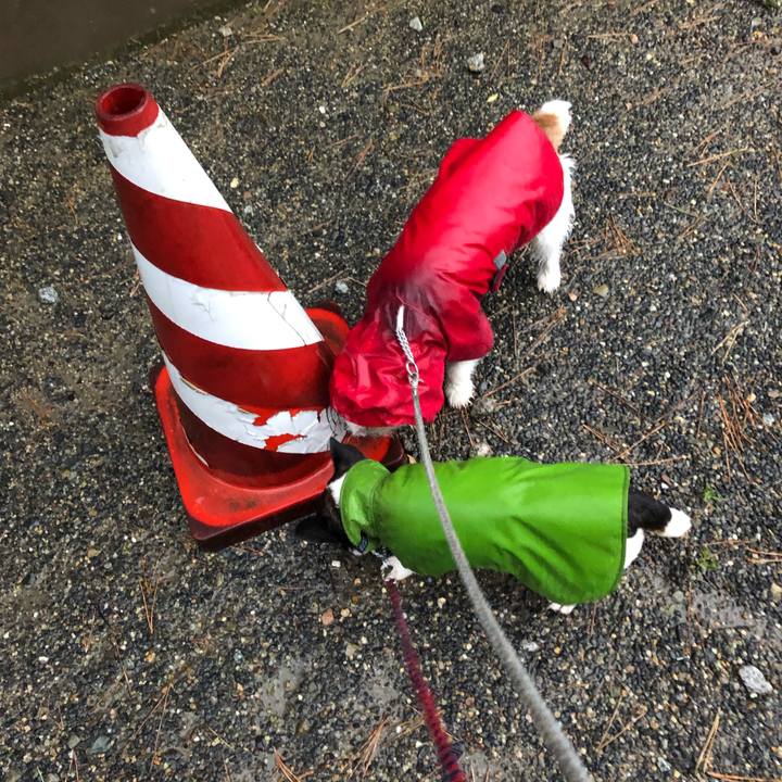 68ec7948 c596 44f4 879e 9402f61b21ca 1547940599021