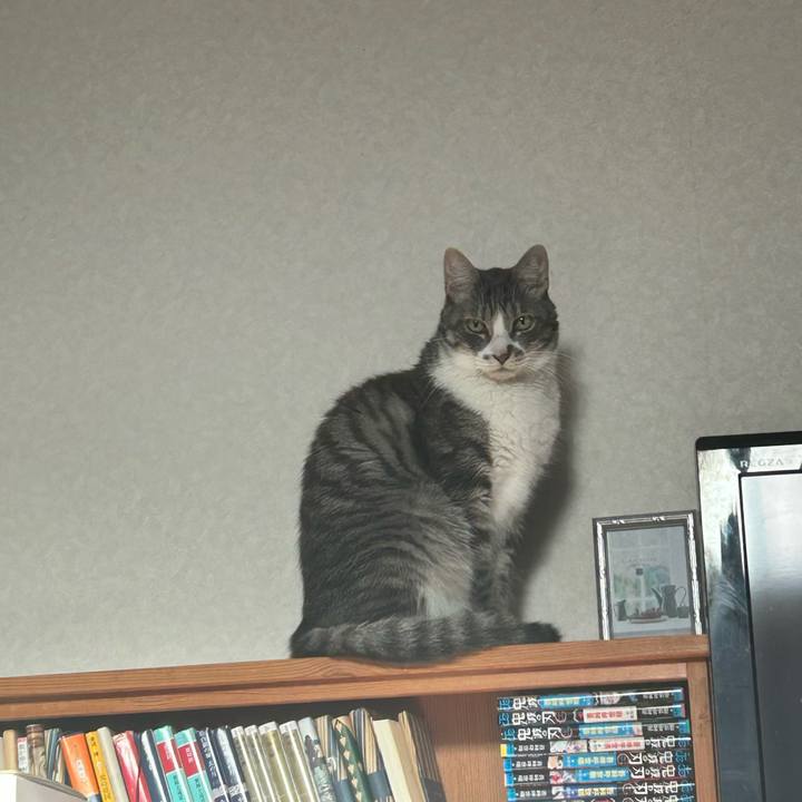 68ecae15 4ff3 479b 93d1 3328ce47d36f 1762431040380