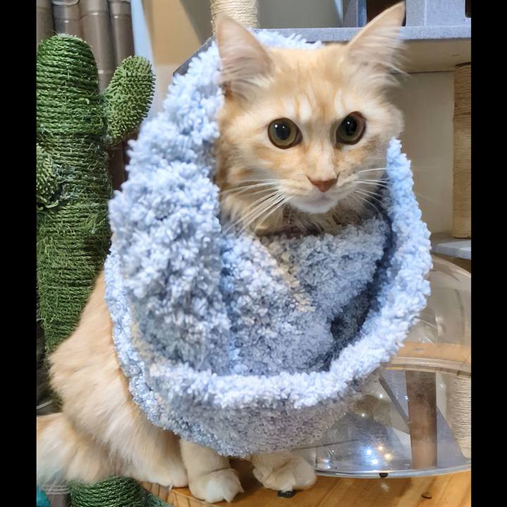 68ecb2ff 962b 452e 8c21 9e16957e3eee 1763632773418