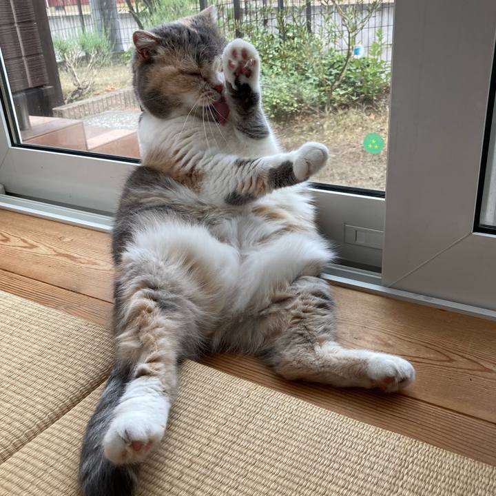 68ecb659 c60a 4787 9ab2 bc09c9278ad3 1624326648423