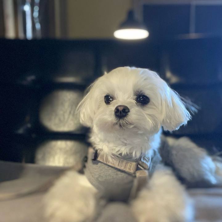 68ecdfd8 66c1 487b a73f c498191da2e4 1774190170567