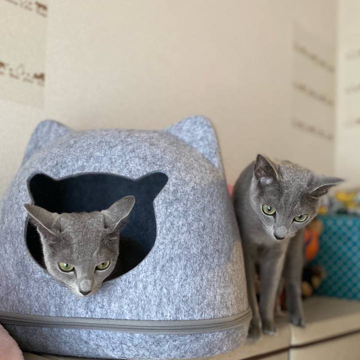 68edcbac 09ff 4fa6 a949 115d0f0824e6 1660777176374