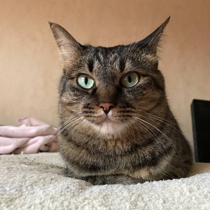 68ee033a aa9b 433c b697 dcd3962780d0 1562308646854