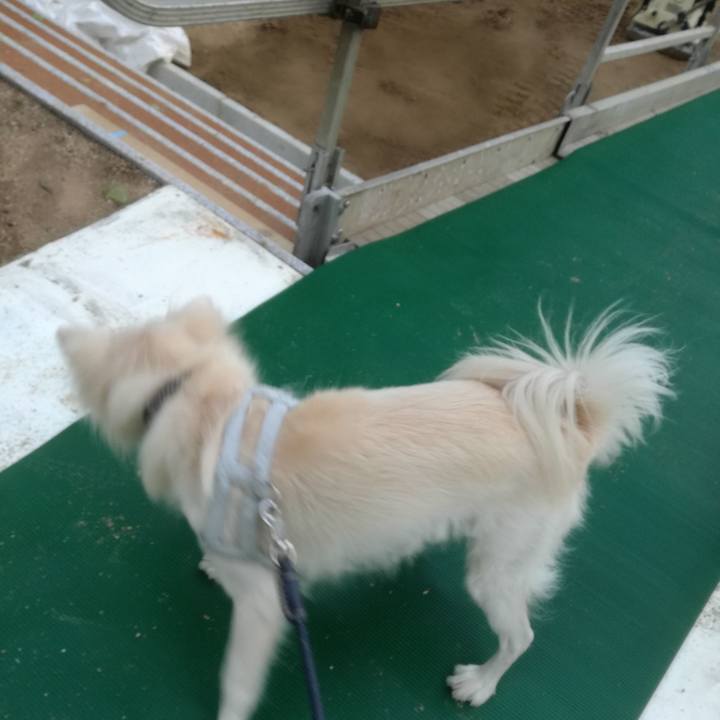 68ee2026 124a 4484 a291 702fe7ee3f4d 1508922055668