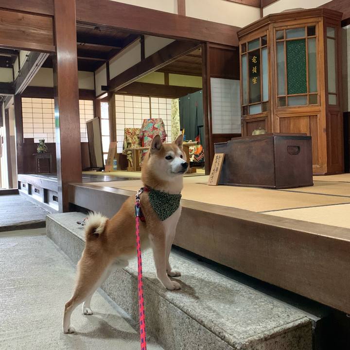 68ee2641 490b 474b 9ac6 a3c3e761565f 1673174966092