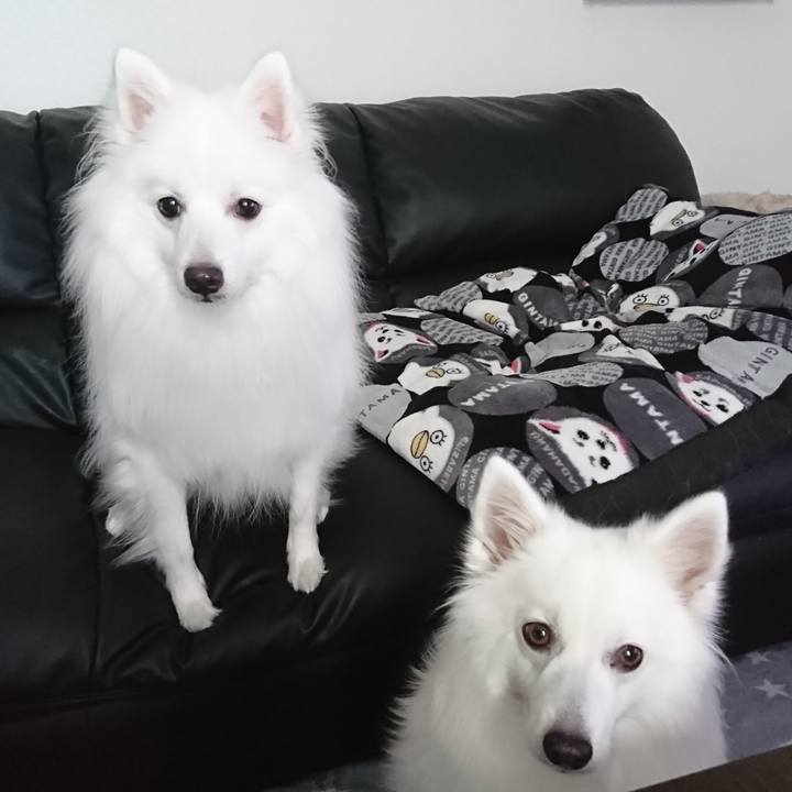 68ee5041 48e9 4c49 bd20 d2cda683edcb 1579841724869