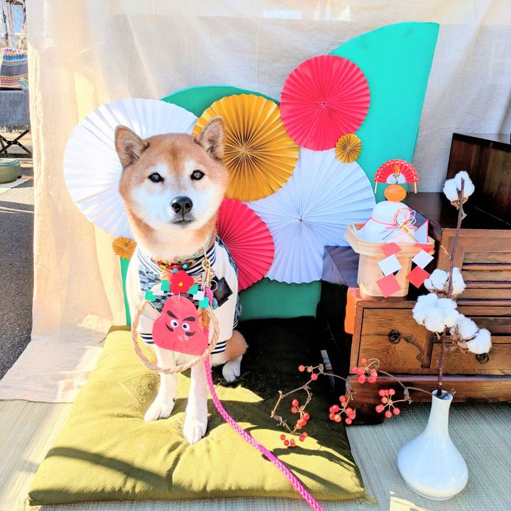 68ee5d76 4f4d 42d8 8594 51c871423976 1767106301220