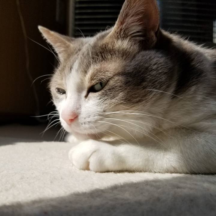 68ee5e19 f887 4e74 9d1c 21466f9ae272 1650454303291