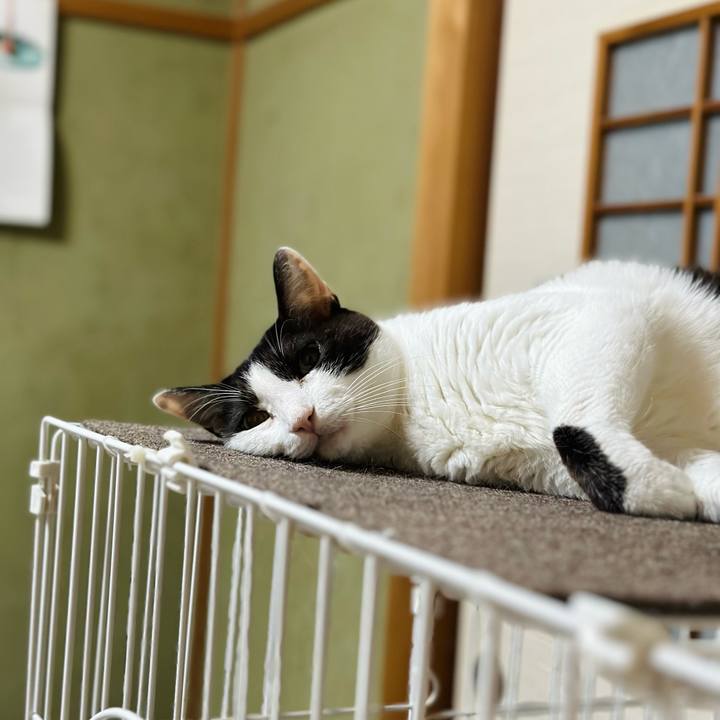 68ee7285 1a5b 4bb4 974a ed87d5ac21d3 1690418391124