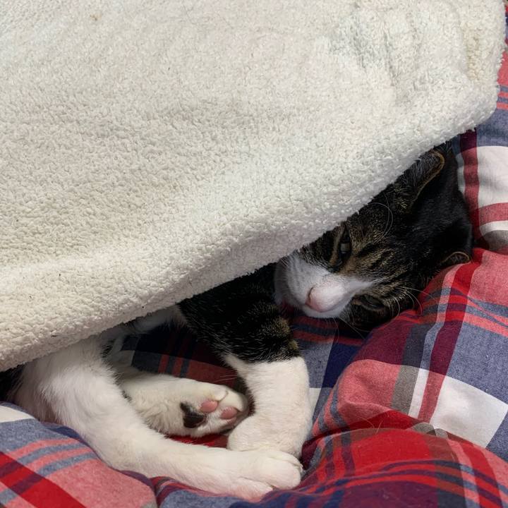 68ee7e09 23d0 408b a7a0 3dec78053444 1650507644308