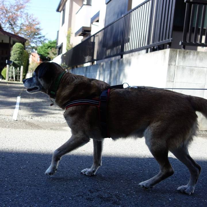 68ee94e2 3578 455e 8111 b4538e2d2311 1509674266306