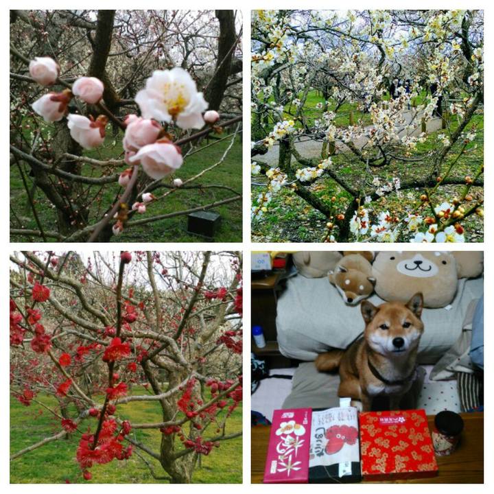 68eebbf7 0ac0 44b9 ba6d d3dedcf07e87 1520674884442