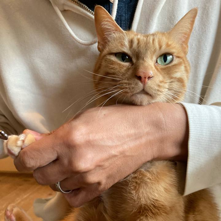 68ef1145 830e 4d45 9879 5981b6f3d772 1644623206520