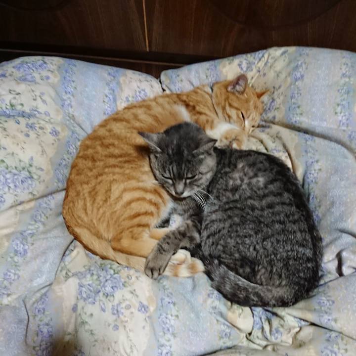 68ef2dec 3c1c 4bb4 8c09 7820e3d4cf63 1582548802085