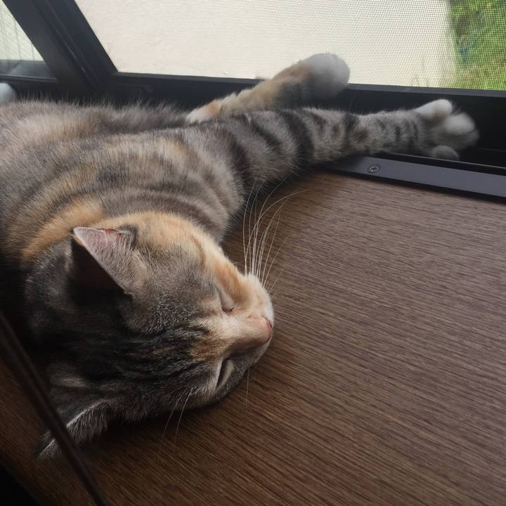 68ef4454 c17a 4b3e a38b e175beebce5d 1563859607335