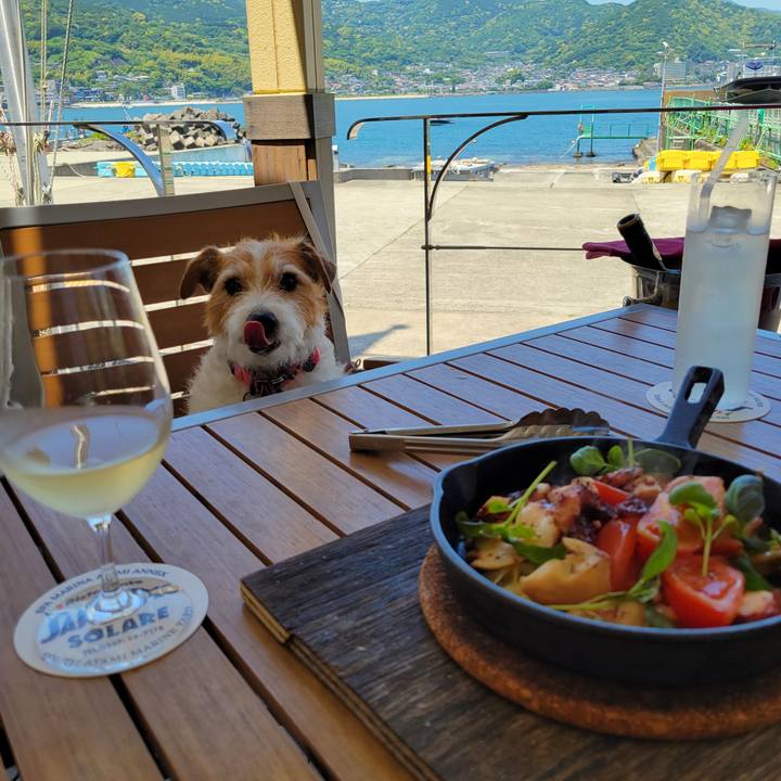 68ef7844 254d 4e2c 8bdb ab4e6a647111 1716003065344