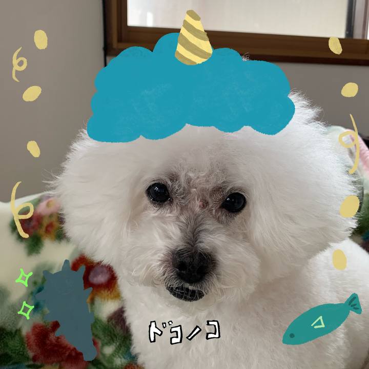 68efa713 38dc 4cf2 8fa5 324c3067b3b8 1706848298295