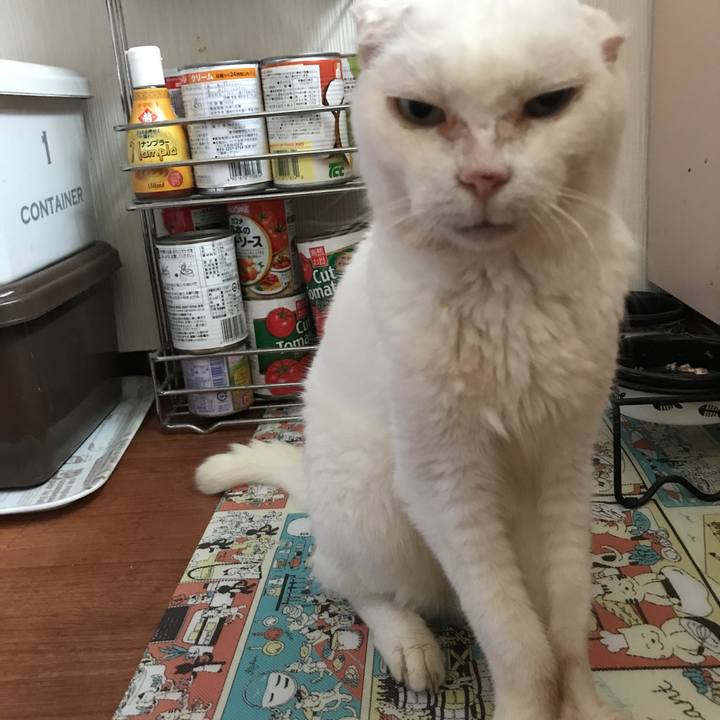 68efba64 f4f2 4eb1 9327 f6a83e0f9644 1531889371146