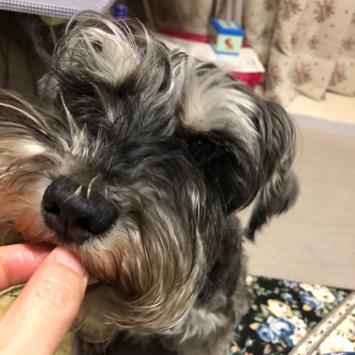 68efbebe dc81 40f0 a24e 52891e08b8d3 1618923597478