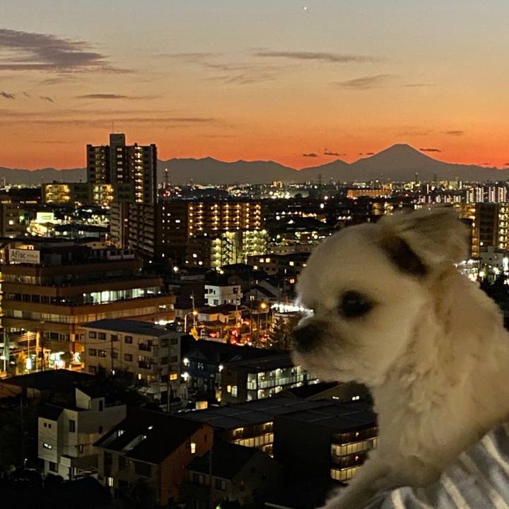 68f00e22 8adf 4d79 a761 5878f3d27832 1573895282174