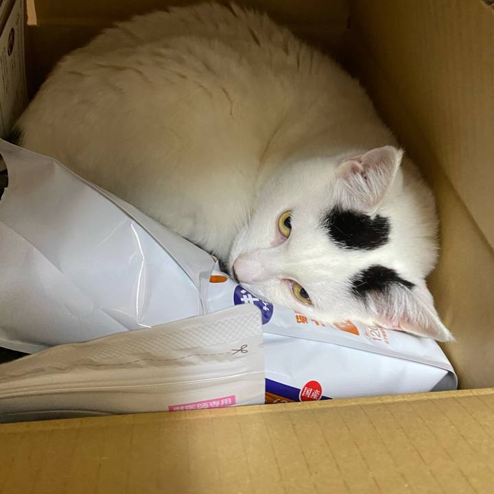 68f05bd0 a97f 4c36 8ae6 32c370346da2 1650416973486