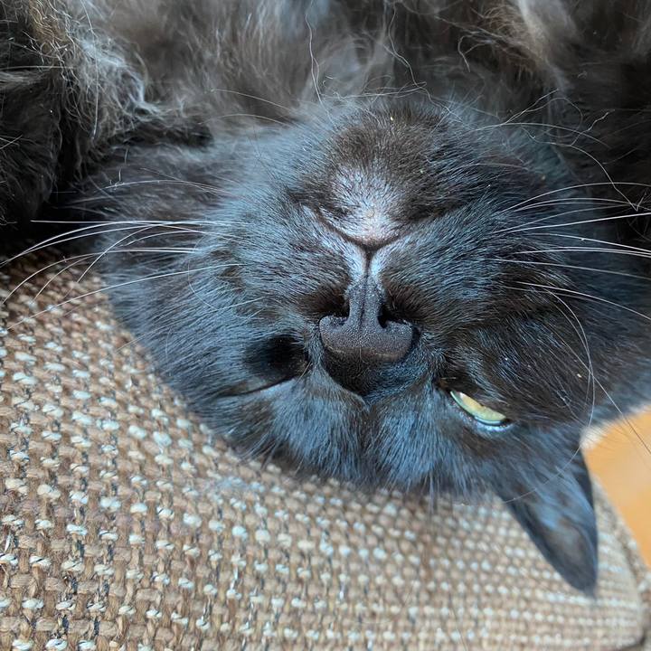 68f06223 067f 4bdd bc7b 19d0939e2886 1621833067129