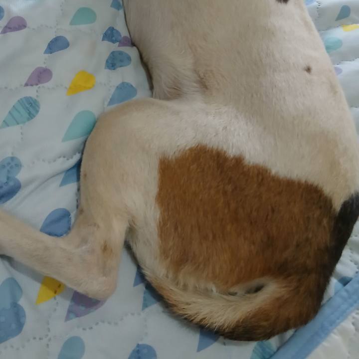 68f06653 8343 4783 baf7 ad6a0464c02d 1750508519428