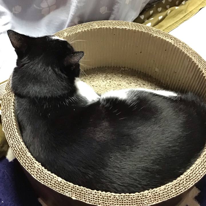 68f07276 8342 4d86 b444 a5ab4ffa95ce 1708682359276