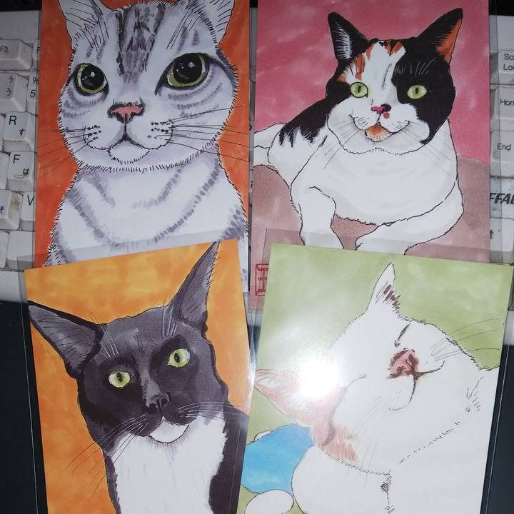 68f0b40b 394c 4075 8172 3eac97860e57 1533554244602