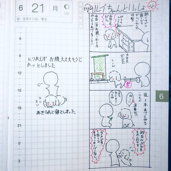 68f0ba4c 4d14 481e b4bc fe45506ee9a6 1624285918394