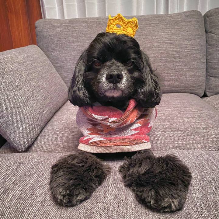 68f0cbba 4495 4df7 99e0 b81273623863 1645967499423