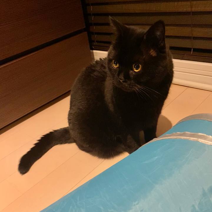 68f0f857 16e2 43e3 bd4f 825a2adc20a7 1692882310838