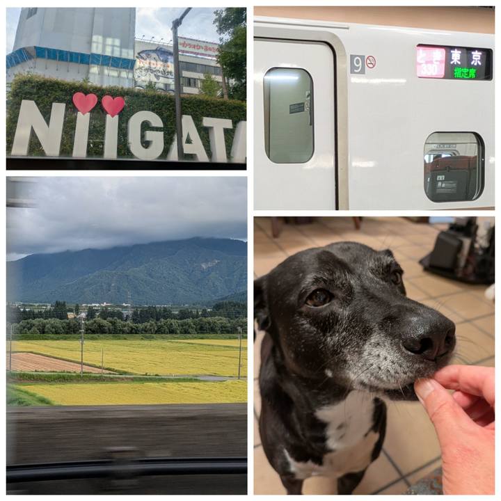 68f15180 0dba 43a4 b1a7 5382f0985984 1757597699610