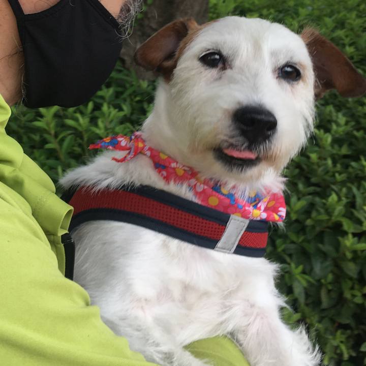 68f15a63 6488 46eb 9ce9 18d6b50b14ea 1622932736370