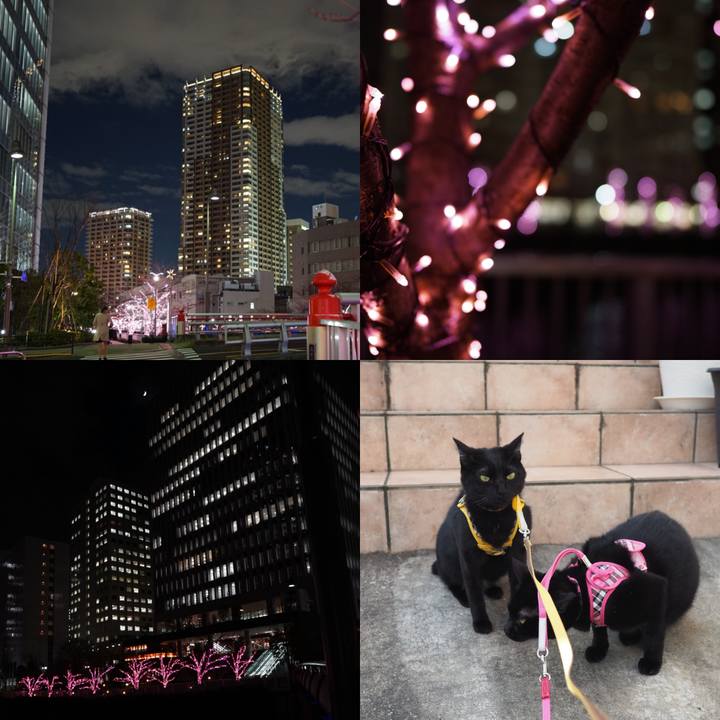 68f18624 654a 4bca 8524 d4c6c7b79360 1545037257775