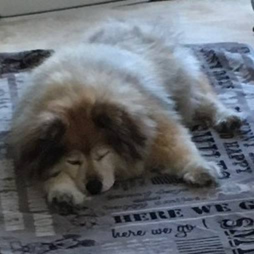 68f1cd29 5467 4148 a57f 1835e5c861af 1575949411710