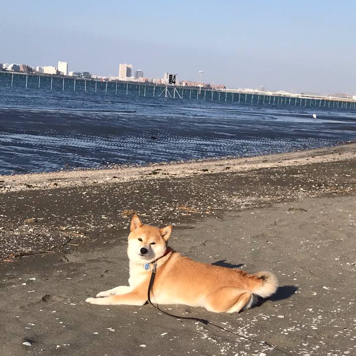 68f1e900 a3a1 49ef a4d1 0004c761c001 1555711873514