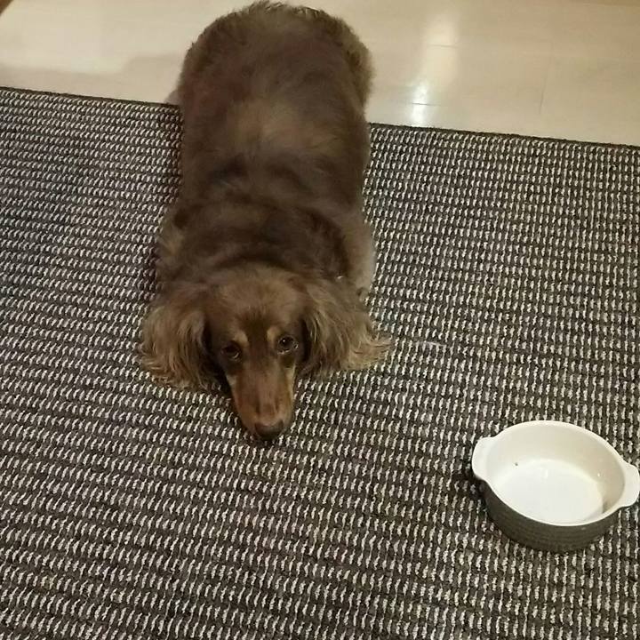 68f1edbb 3d32 4395 afcd 21432530d785 1529843121814