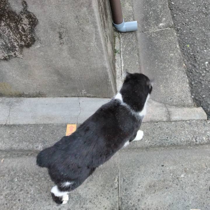 68f202bd b97e 4b99 a1bf 8c8895683242 1701590623719