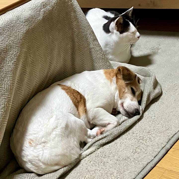 68f205da 98bb 4970 940b 2ca34defe170 1710165958421