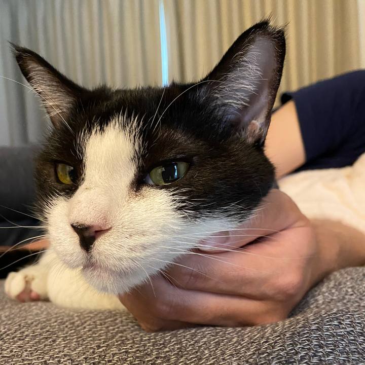 68f22f3d ce83 406f b5ba 4b806256e0d1 1718707870238