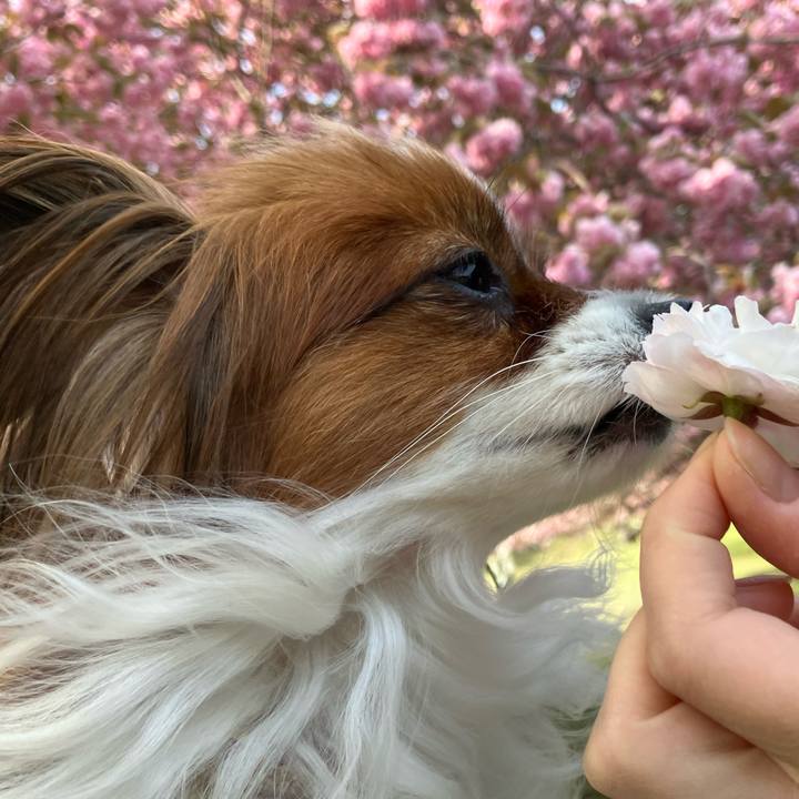 68f25470 e5bc 427d 8e18 910af2424e99 1715412980818