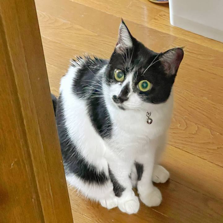 68f25ef5 5d58 4212 8a4b bed0c8a411e2 1756007198253