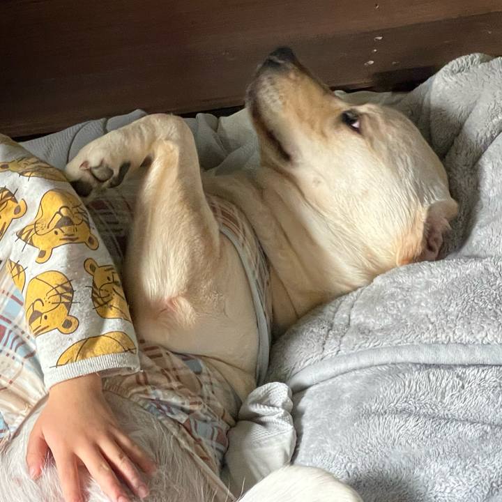 68f25f88 dae1 4c6e ba85 633ebbc38c8a 1643173698612