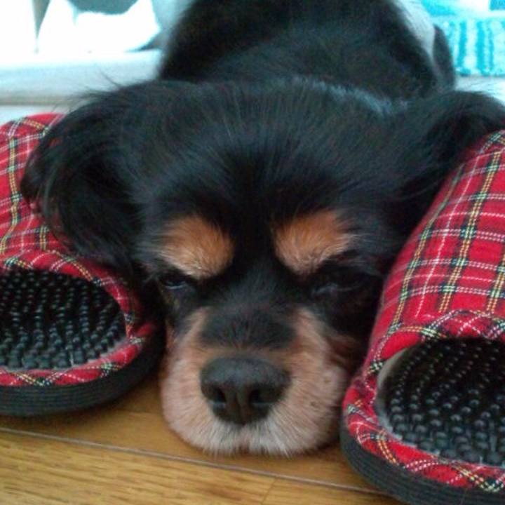 68f26d20 709a 45ba aeaa 143c36b88d8d 1592569858625