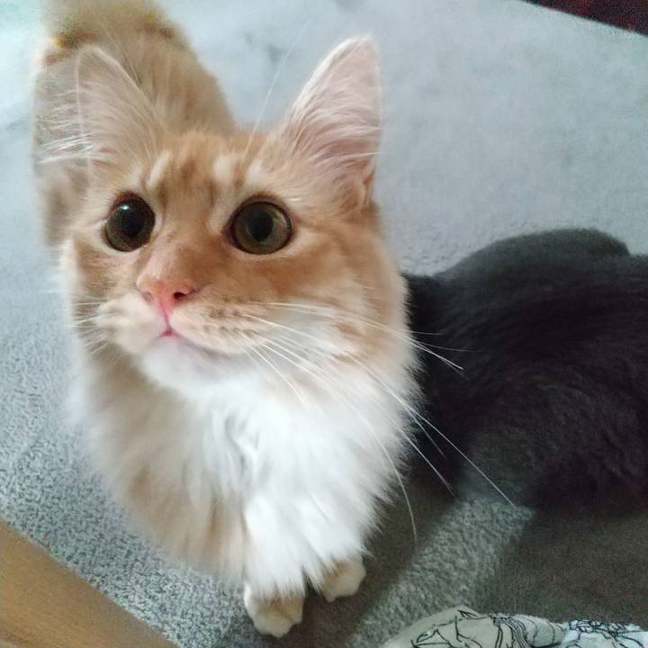 68f27010 2987 478b a806 f7b495d6e1e6 1622411810391