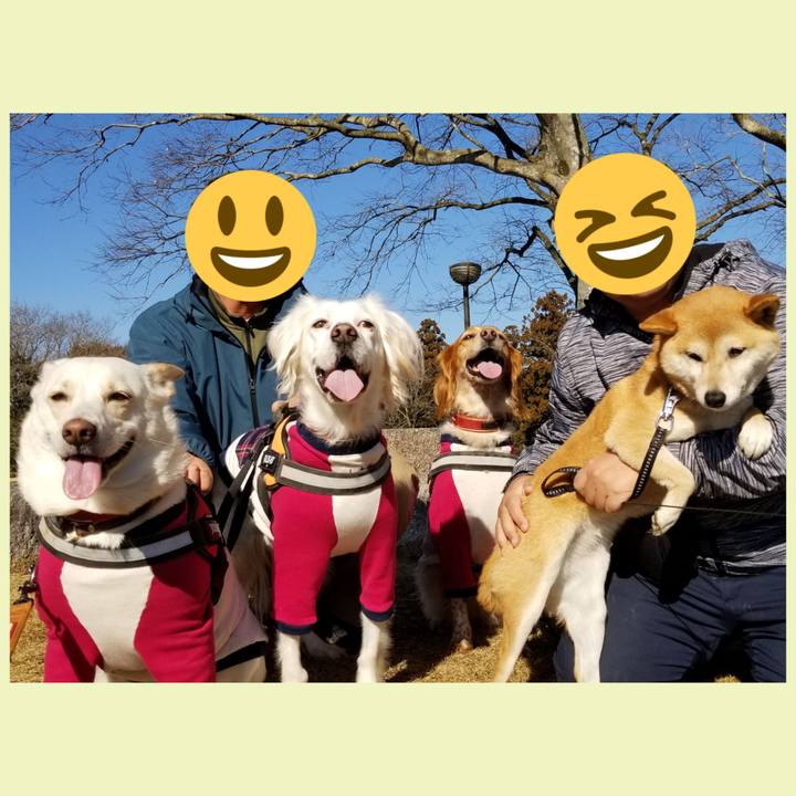 68f27a1b 3094 4977 a777 d6385074dbef 1705235133530