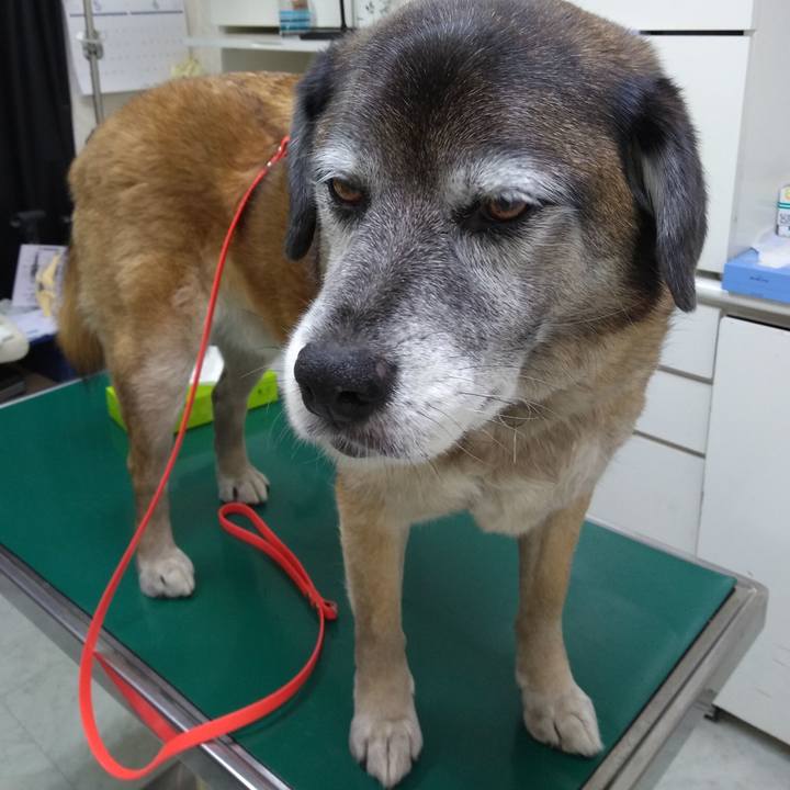 68f2976c 21f1 41fa 9df1 e28bee3c6312 1558184877327